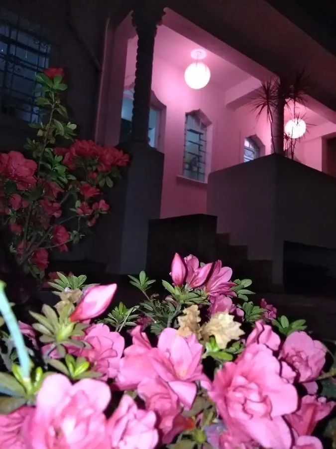 Yellow House Hostel Internacional Sao Paulo