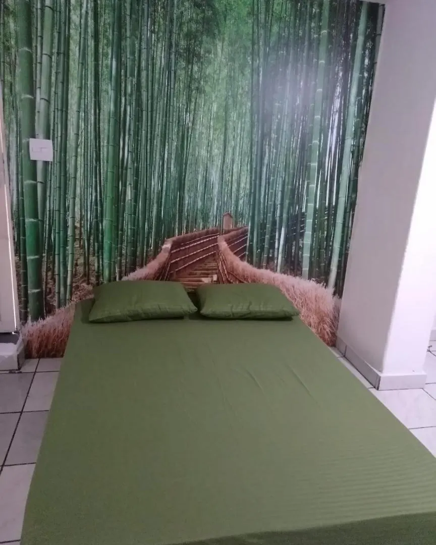Yellow House Hostel Internacional Sao Paulo Brazil